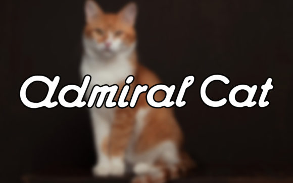 Admiral Cat: The Handwritten Font for Authentic Design