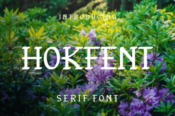Discover the Playful Power of Hokfent