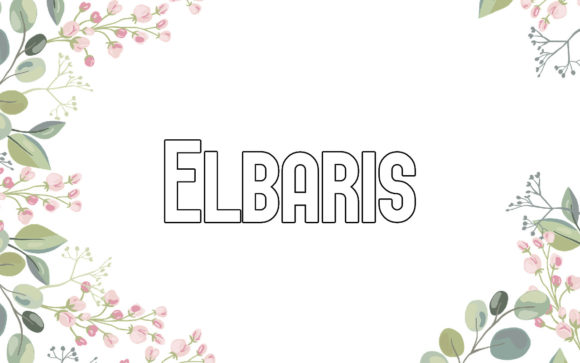 Elbaris: The Creative Sans Serif That Brings Ideas to Life