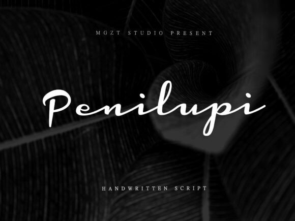 Penilupi: A Retro Script Font with Modern Confidence